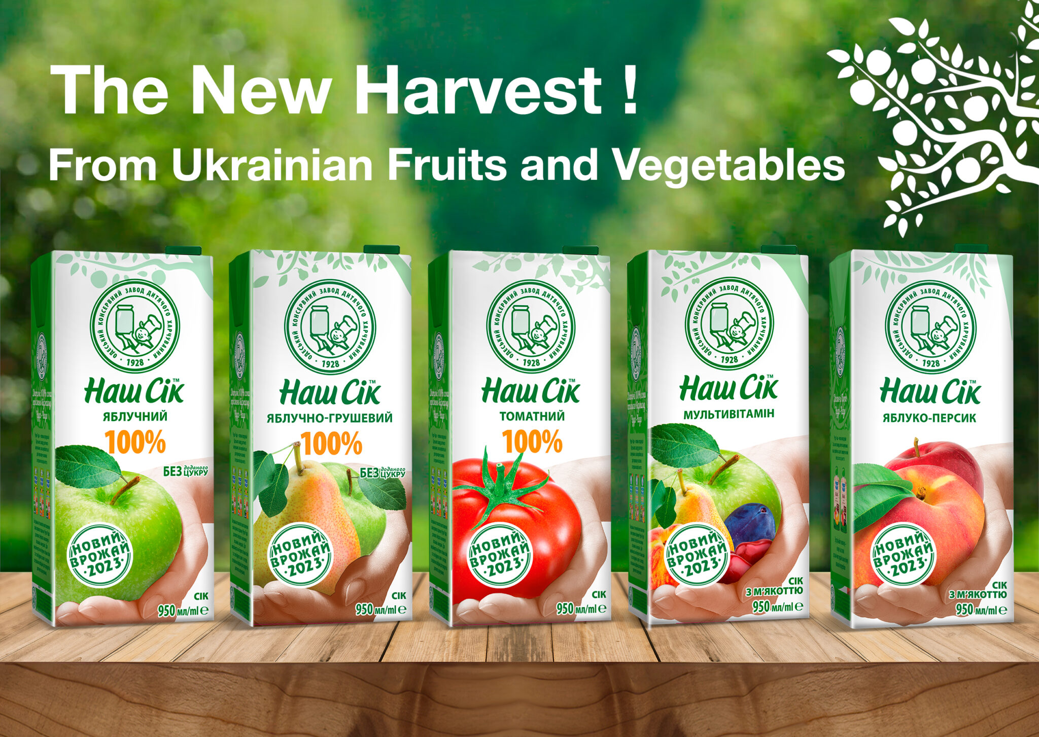 Meet Nash Sik from Ukrainian Fruits and Vegetables Harvested in 2023